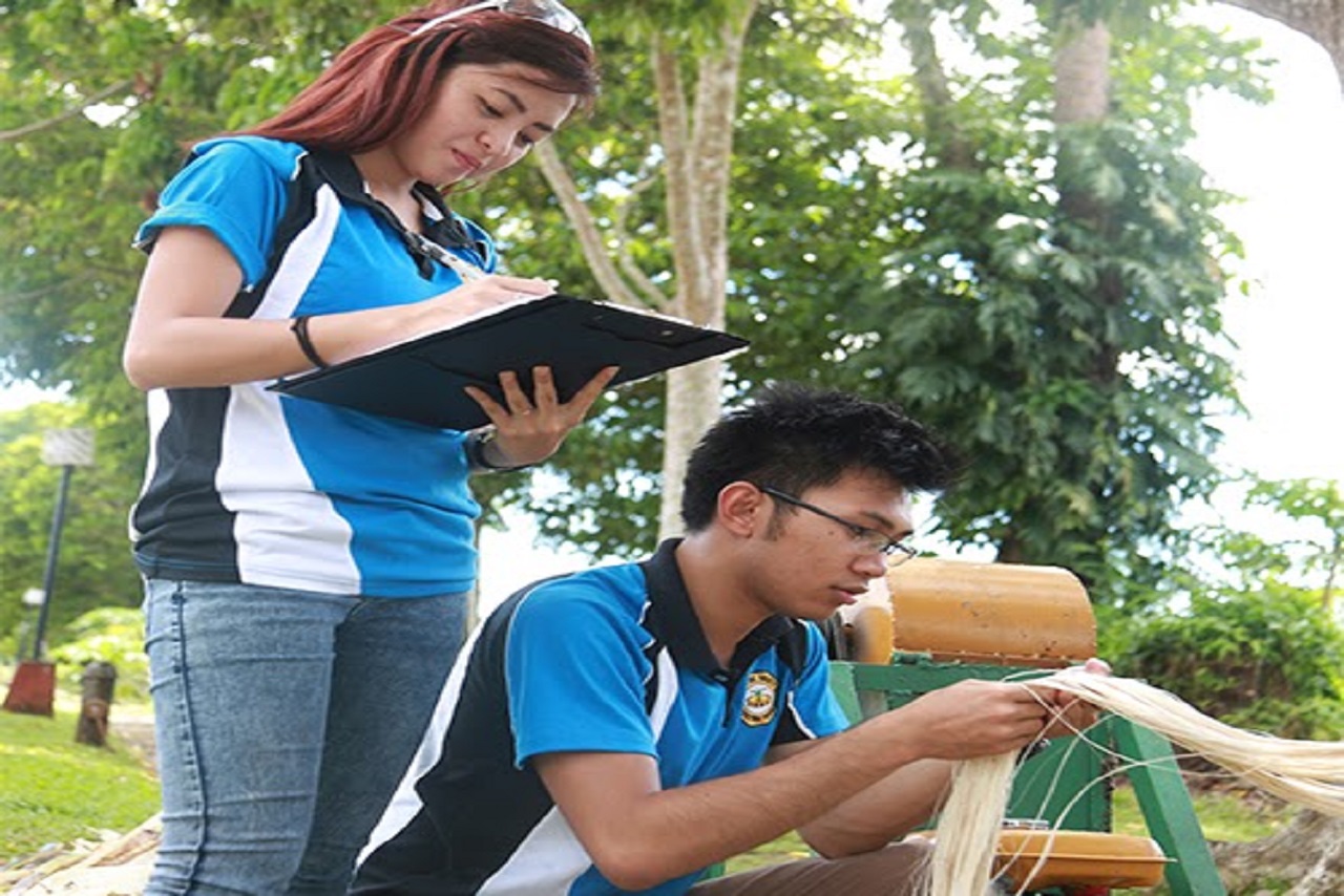 What Is Bachelor Of Science In Agricultural Education And Extension